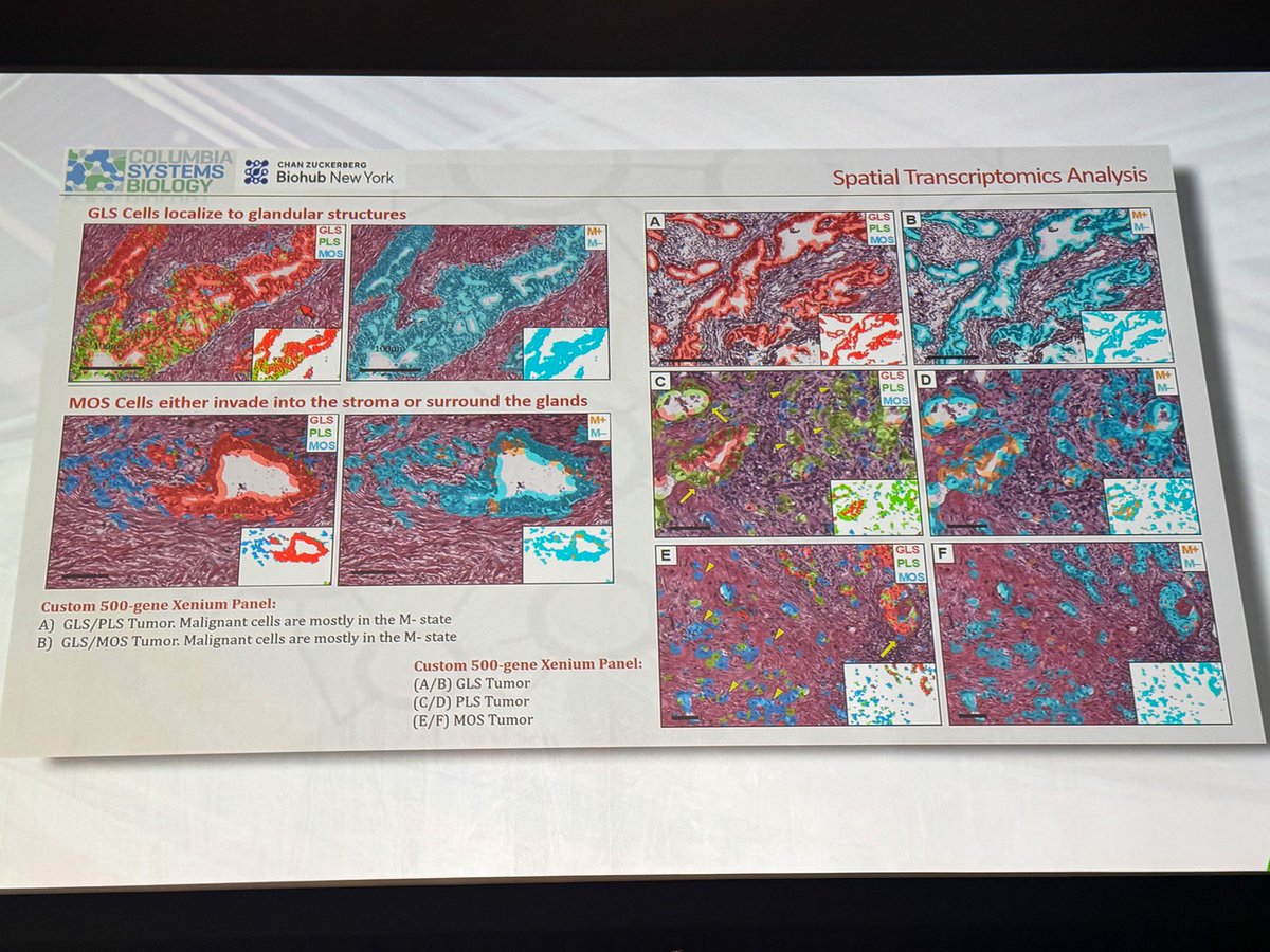 Moffitt Cancer Center tweet media