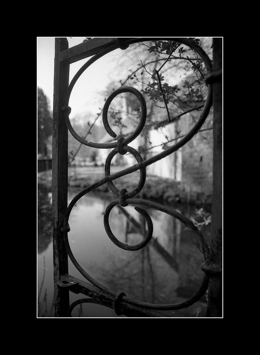 tintenfinger's tweet photo. Canon Eos 1000FN 
Canon EF 35-80mm 
Agfa APX 100
Amaloco AM74 https://t.co/ksQ6zU0ABV