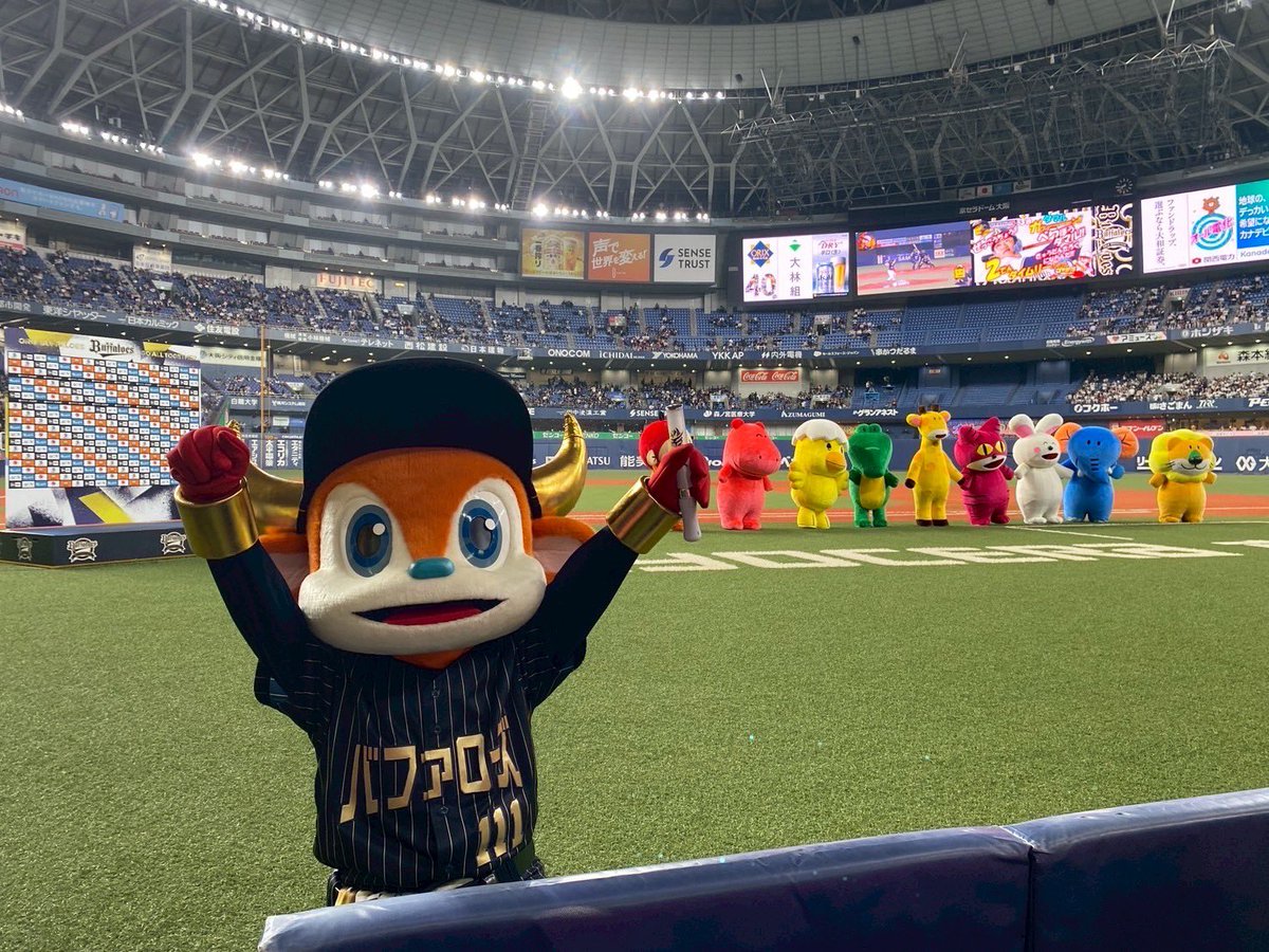 bullbell_B's tweet image. れんしょうおりほー🥳✨

きょうのヒーローは🦸‍♂️
ニックネーム #タジ と #タマル こと
#田嶋大樹 とうしゅと #太田椋 せんしゅ！

たべっ子どうぶつのみんなも
おうえんありがとう🎶
えいがもがんばってね〜🎬

#たべっ子どうぶつTHEMOVIE
#オリっこデー #Bs2025 #ORIX
#バファローブル #バファローベル