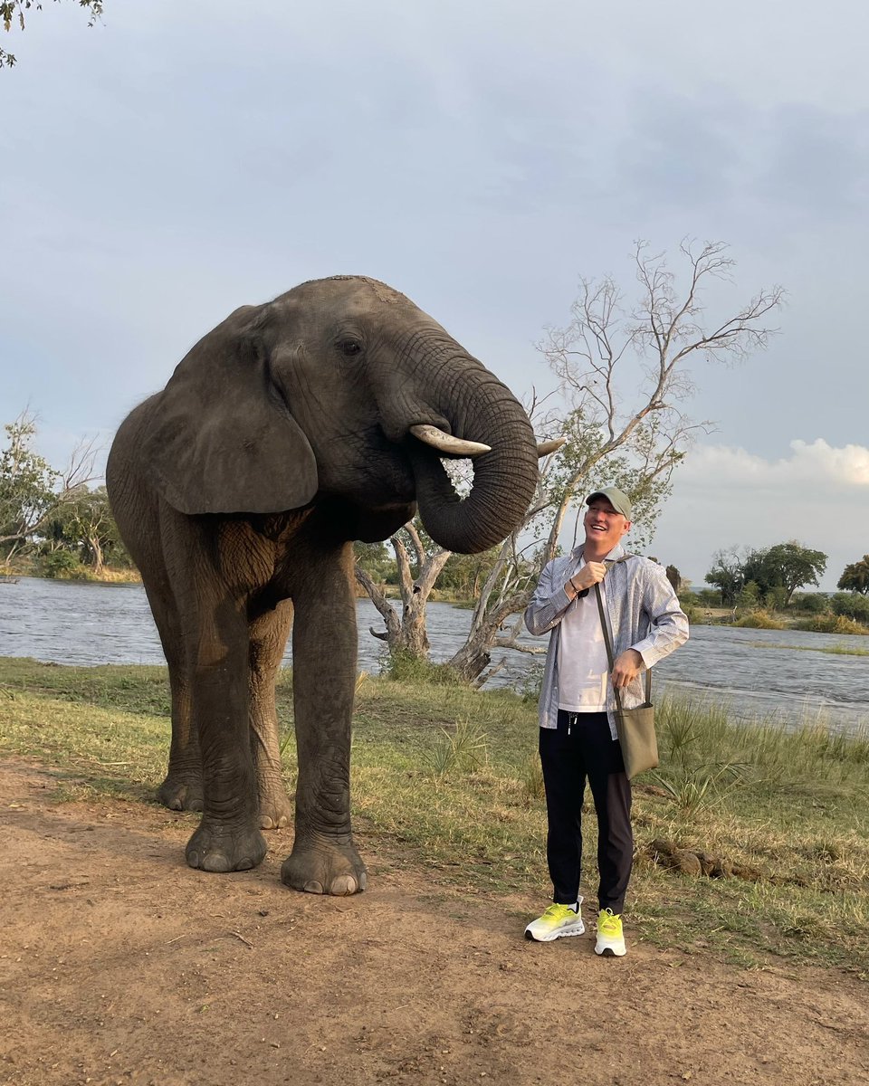 BSchweinsteiger's tweet photo. Meeting one of the Big Five 🐘 https://t.co/RjaNAUTeuO