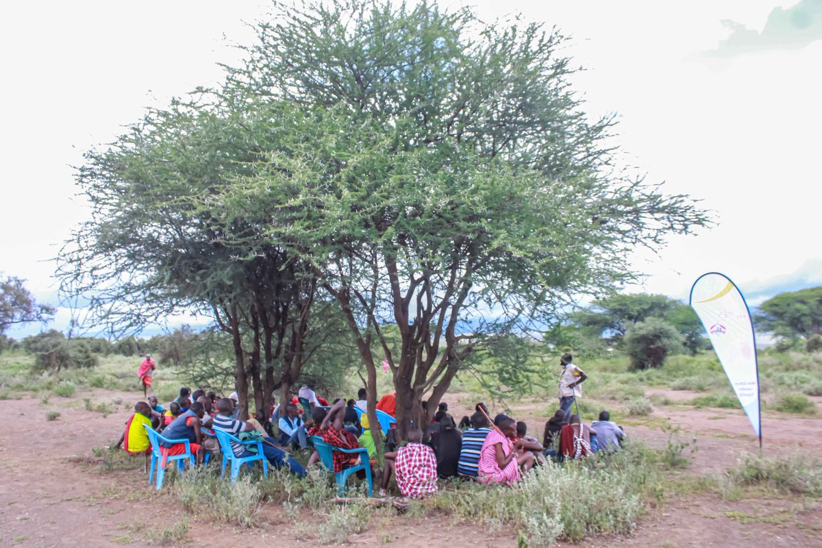 #MenEndFGM tweet media