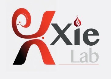 Stephanie Xie (@stephxie) on Twitter photo I am thrilled to announce I am the newest Scientist <a href="/pmcancercentre/">Princess Margaret Cancer Centre</a>.
The Xie lab will focus on understanding how inflammatory and metabolic stress in human hematopoietic stem cells promote aging and cancer risk and preventative interventions. Recruiting… I am thrilled to announce I am the newest Scientist <a href="/pmcancercentre/">Princess Margaret Cancer Centre</a>.
The Xie lab will focus on understanding how inflammatory and metabolic stress in human hematopoietic stem cells promote aging and cancer risk and preventative interventions. Recruiting…