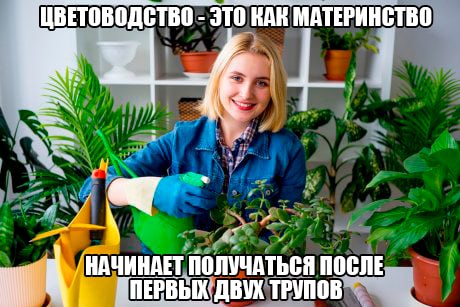 все мои растения - это просто выжившие