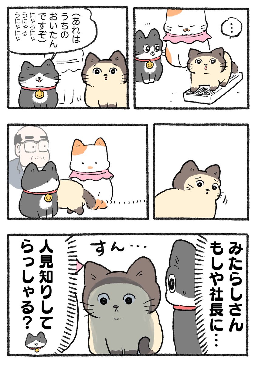 やじま@ねこおじ5巻発売中 on X