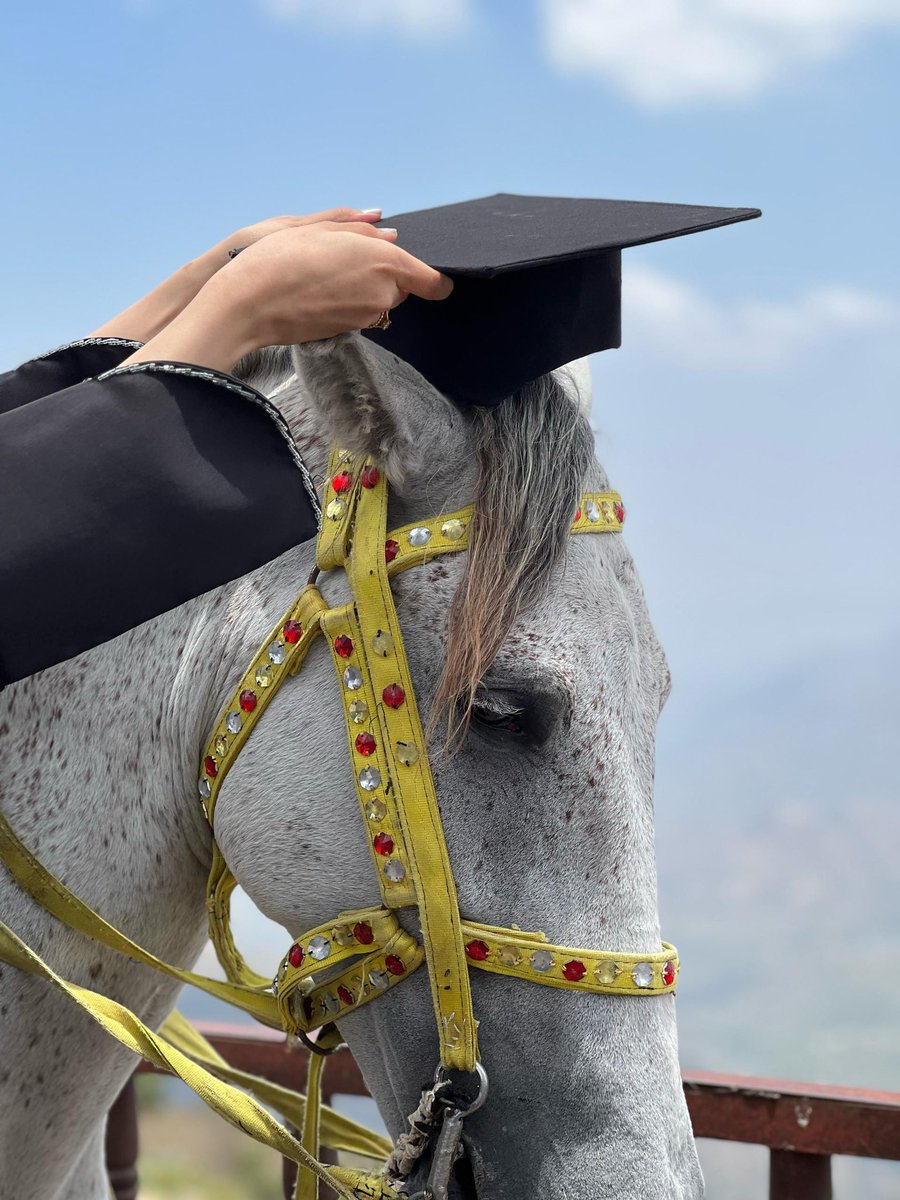 🐎🎓