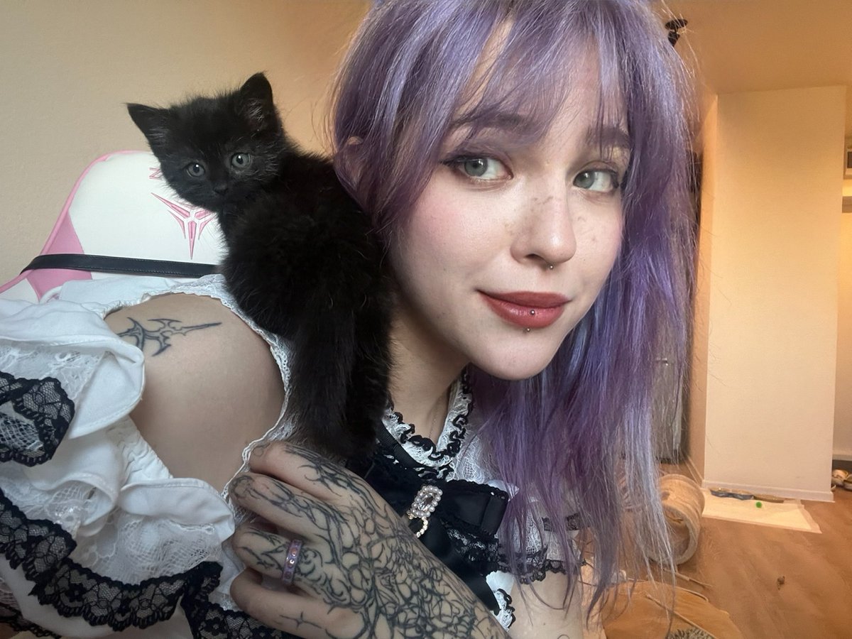 amfytamine's tweet photo. Adopted a shelter kitten recently 🐾 Had to pass an interview and was sooo nervous!
Now he's spoiled, sleeps on my chest, watches me game, and follows me like a shadow 😭💗
Best decision ever 💜 https://t.co/xg7CUW1rsa