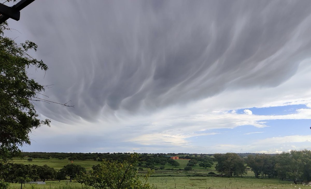 jesusTeniente's tweet photo. 😃😃
#Nubes mammatus desde #Salorino, en #Cáceres. 
Chulísimas desarrolladas, así como su formación. 
📸Valentina Galán https://t.co/SF4zfGGTnq