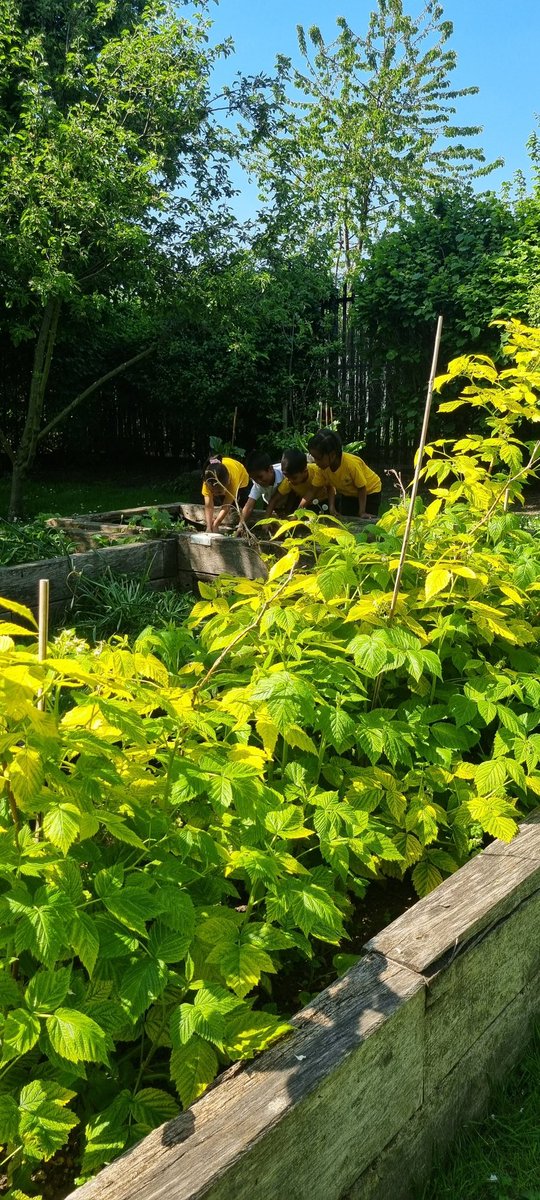 Southern Road Primary tweet media