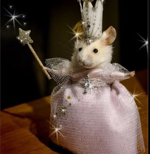 Feeling really nostalgic lately, especially since I've looping Infinite songs lately

For the K-pop reviewer/blogger community, I hope you all are doing well! It's inspiring to see some of you guys still being interested in K-pop and/or still interested in your craft today ☺️