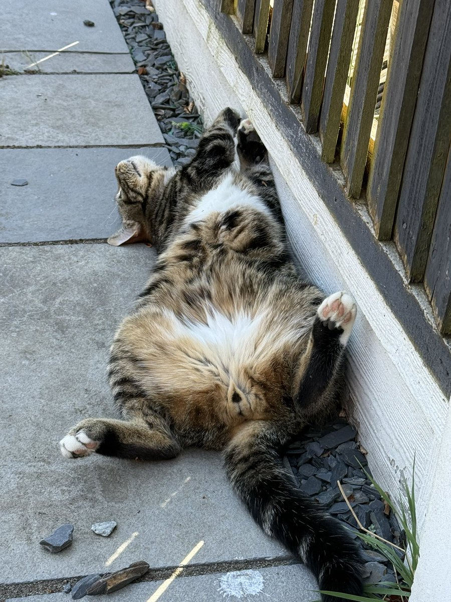 Catching the rays!