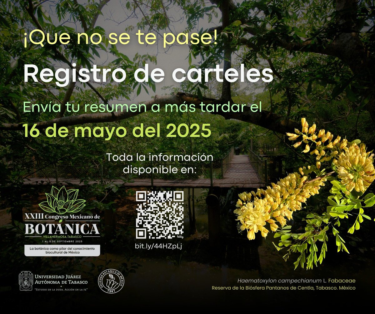 ¿Ya enviaron su resumen para contribuciones en cartel? Quedan dos semanas para subir el resumen. El formulario que podrás entrar aquí: docs.google.com/forms/d/e/1FAI…