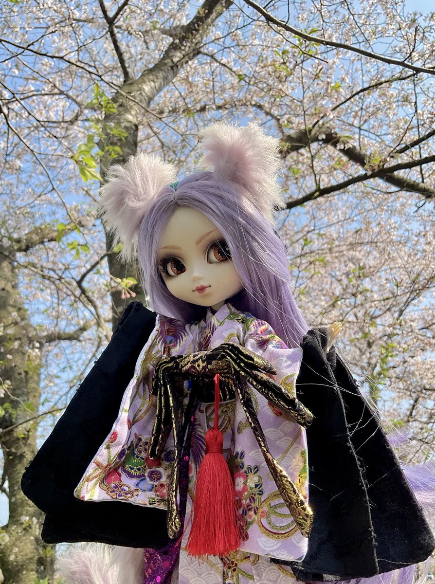 A_Records7's tweet photo. 4月、日本は桜の月。
東西南北、気候が異なりますから、長い期間桜の便りが聞こえて嬉しいですね。
今年も我が家の桜と近所の桜を満喫出来ました。
斯様な本日、4月最後の日。つまりは、ワルプルギスの夜でございます!!
ブロッケン山も日本も春の祭典。
本日はベルリオーズ:『ワルプルギスの夜の夢』を https://t.co/J2RPBKbu6Y