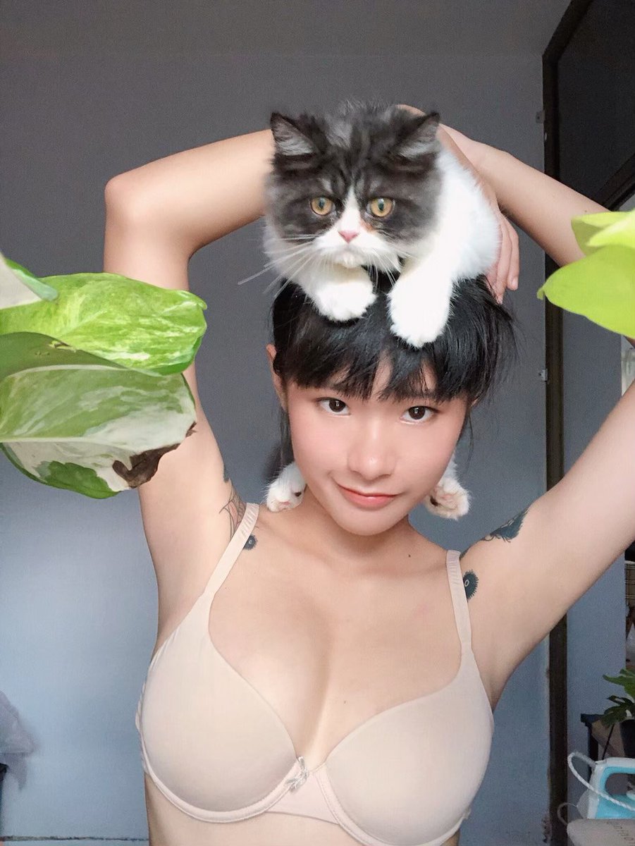Soundlike_Peach's tweet photo. คุณปู่ปุ้นจิ้น 🥰🐱 https://t.co/QO5mlzQaty