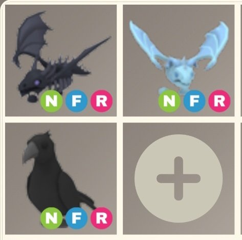 1xAkuma's tweet photo. Looking to buy adopt me pets with robux / paypal!
Mainly lf these but dm if you have any pets to offer anyway! :D
🔑 shadow dragon frost crow owl parrot turtle evil uni cc cabbit bat dragon
#adoptmetrades #adoptmetrade #adoptme #robuxtrade #robuxtrades https://t.co/l66OtRhmjL