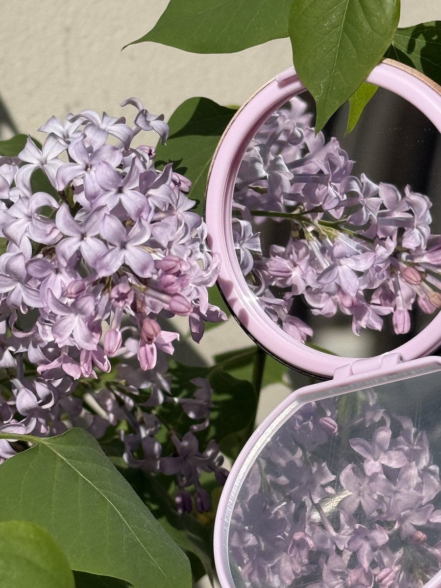 이미 배송은 총알배송으로 받았는데 예쁘게 사진 남기고 후기 올리고 싶어서 너무너무 늦어졌습니다 ⸝⸝ʚ̴̶̷̆ ̯ʚ̴̶̷̆⸝⸝ 💜

실물을 보기전에도 너무 예뻐서 갖고싶었고 궁금했던 떵운거울🪞 이벤트 선물에도 정성가득한 포장에 하늘님의 예쁜 마음이 잘 느껴졌어요 .. 따수우신분 .. 

💝🍒🍑💝