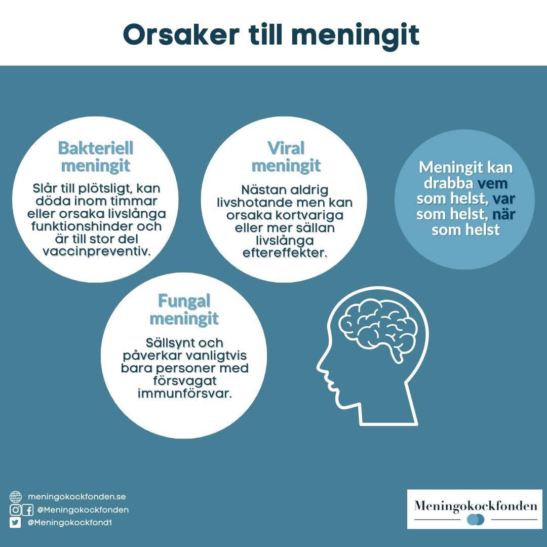 CBennborn's tweet image. Målet med World Immunization Week är att fler barn, vuxna – och deras samhällen – ska skyddas mot sjukdomar som kan förebyggas med vaccin, vilket gör att de kan leva lyckligare och hälsosammare liv.

meningokockfonden.se

#PreventThePreventable #WorldImmunisationWeek