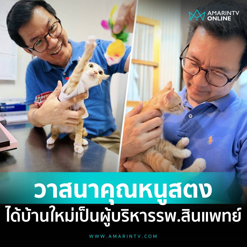 TarotYouuuu's tweet photo. มึง น้อง สตงน่ารักมาก ได้เจ้านายใหม่เป็นผู้บริหารโรงพยาบาลวาสนาแมวจรของจริง ขอให้น้องมีความสุขมากๆนะครับ 555555555
#ตึกสตงถล่ม https://t.co/gGuocPFQHY