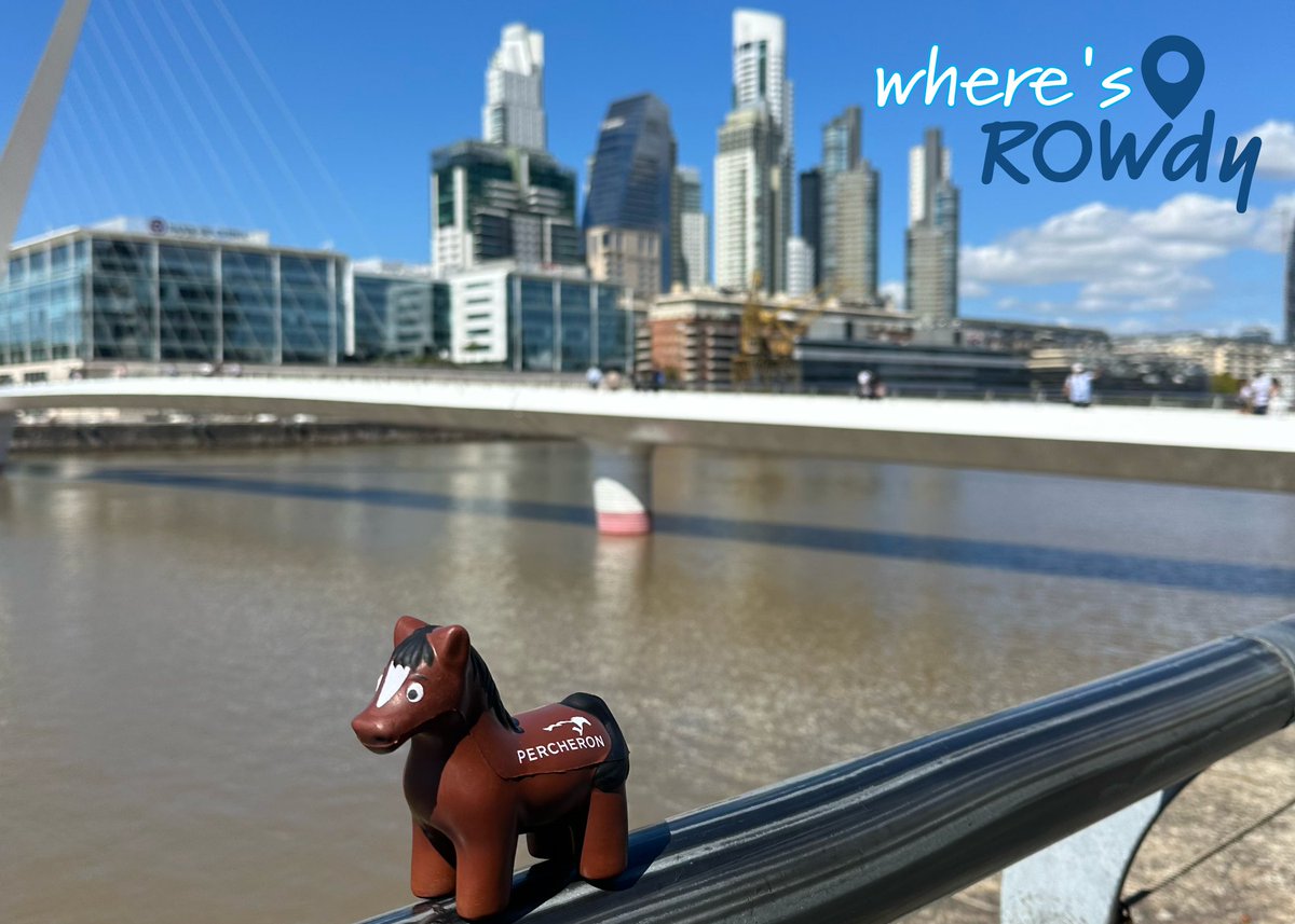 Have you seen ROWdy?

The Percheron team has been everywhere with our trusty Percheron horses by our side!

Spot Rowdy enjoying the Argentine  waterfront views at Puerto Madero between meetings!

Seen a Percheron horse at an event? Let us know! 

#WheresROWdy #TeamPercheron