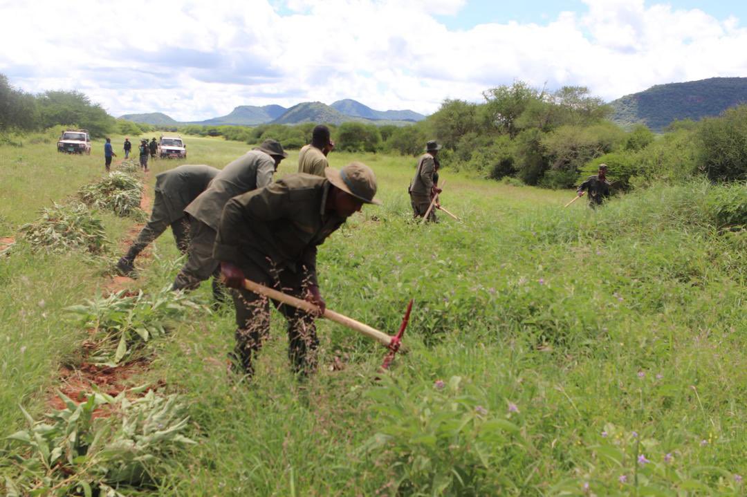 WWF-Tanzania tweet media