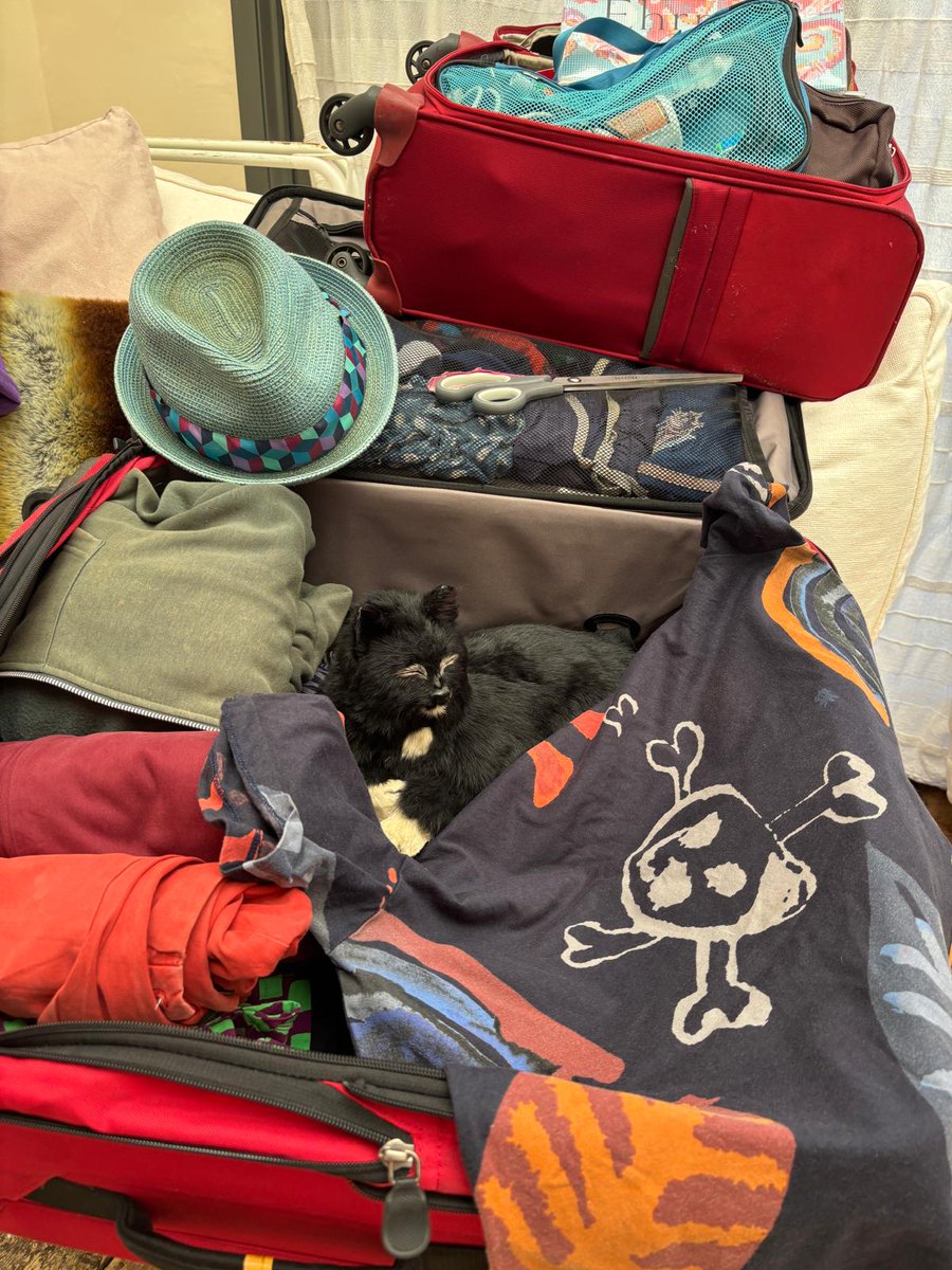 We're packed &amp; ready to go go go ... 🇺🇸

@woodsidequilting - 2-4 May 
Lecture &amp; Colour Workshops
.
<a href="/hhamericas/">h+h americas</a> - 7-9 May 
@FreeSpiritFabrics stand Booth 2411, FB-11, FB-2
.
@madelineartschool - 12-23 May 
Glorious Color Retreat
.
Join Kaffe &amp; Brandon - kaffefassett.com/about/events/