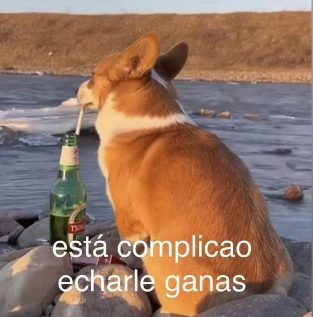 piña sin pizza (@skereunpesado) on Twitter photo 