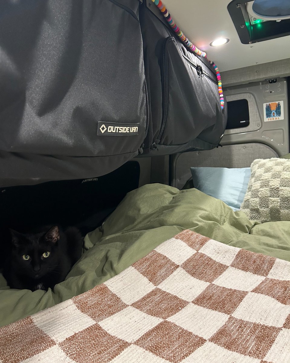 Outsidevan's tweet image. To the pets who jump in the van without hesitation—this day’s for you.
Happy National Pet Day to all our furry Outsiders. 🐶🚐

Start the journey, contact your local Humane Society and adopt an adventure buddy today!
 #VanLifeWithPets #FurryCoPilot