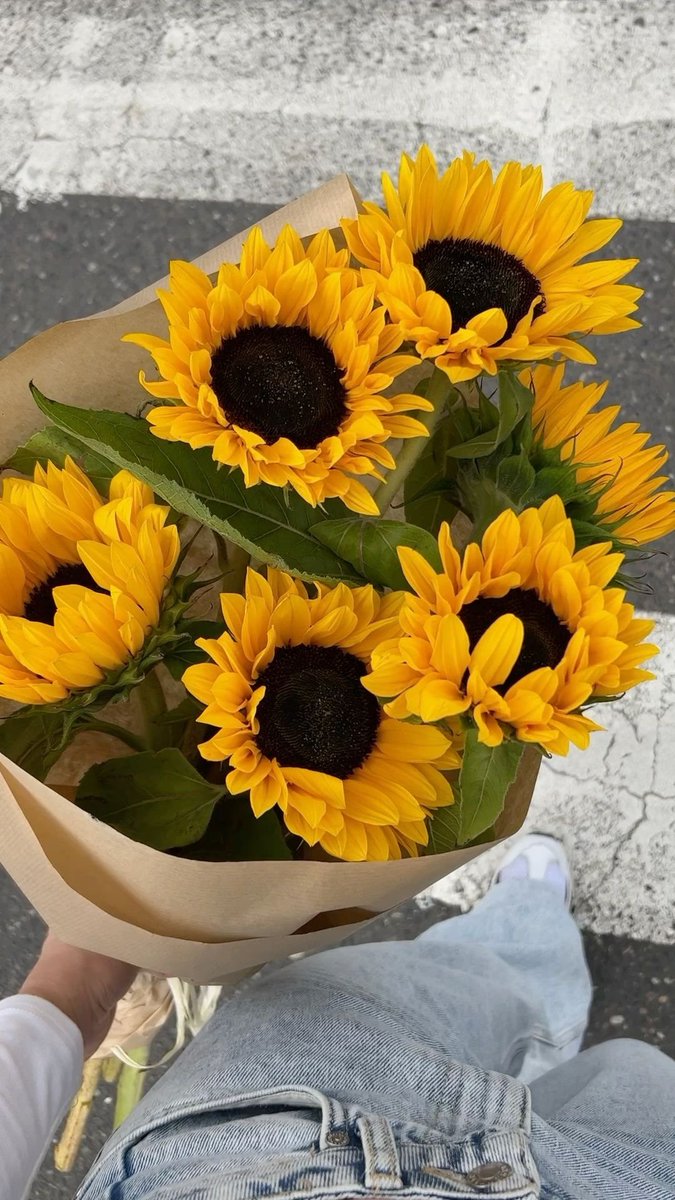 sunflowerchives's tweet photo. Love you endlessly. https://t.co/G086WHaq4L