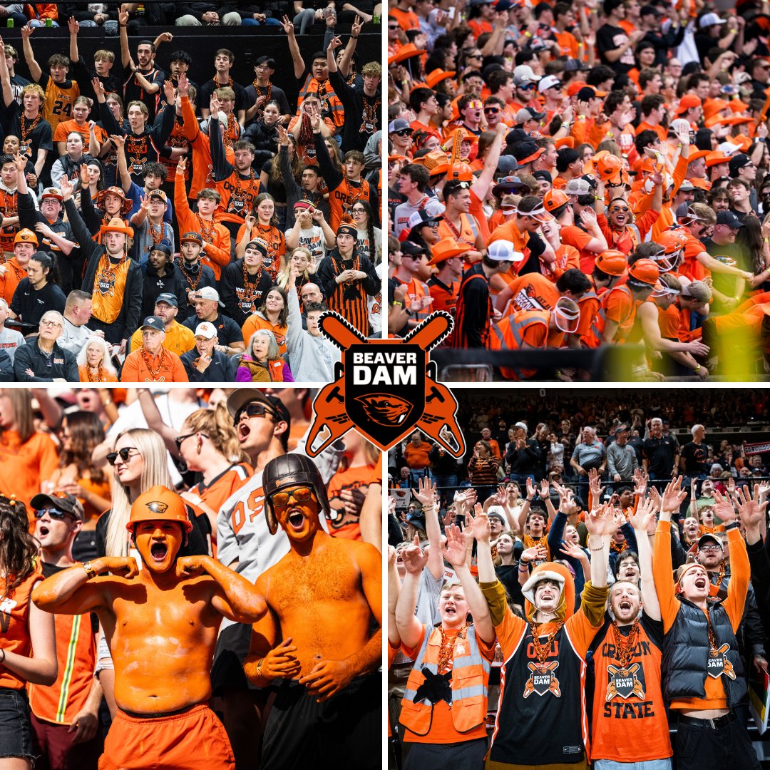 Beaver Dam tweet media