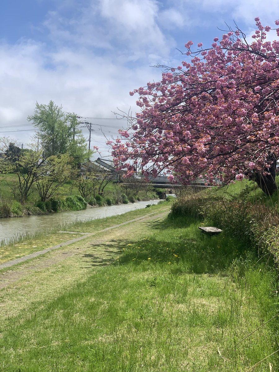 はらっぱラジオvol.82公開しました🙌
憧れとのつきあいかたがテーマ。なりたかったけどなれなかったものの話！
写真は1人でピクニックした川辺です☀️
open.spotify.com/episode/6vYj2S…