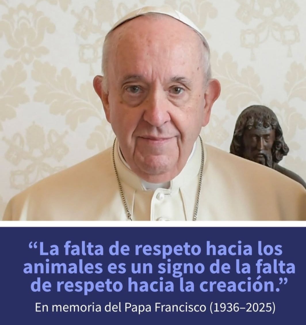 Piluchy Hola mi (@piluchym) on Twitter photo 