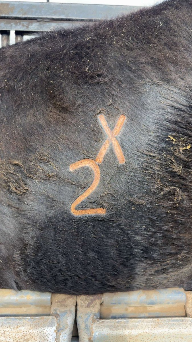 Scott Assman (@scottassman) on Twitter photo 