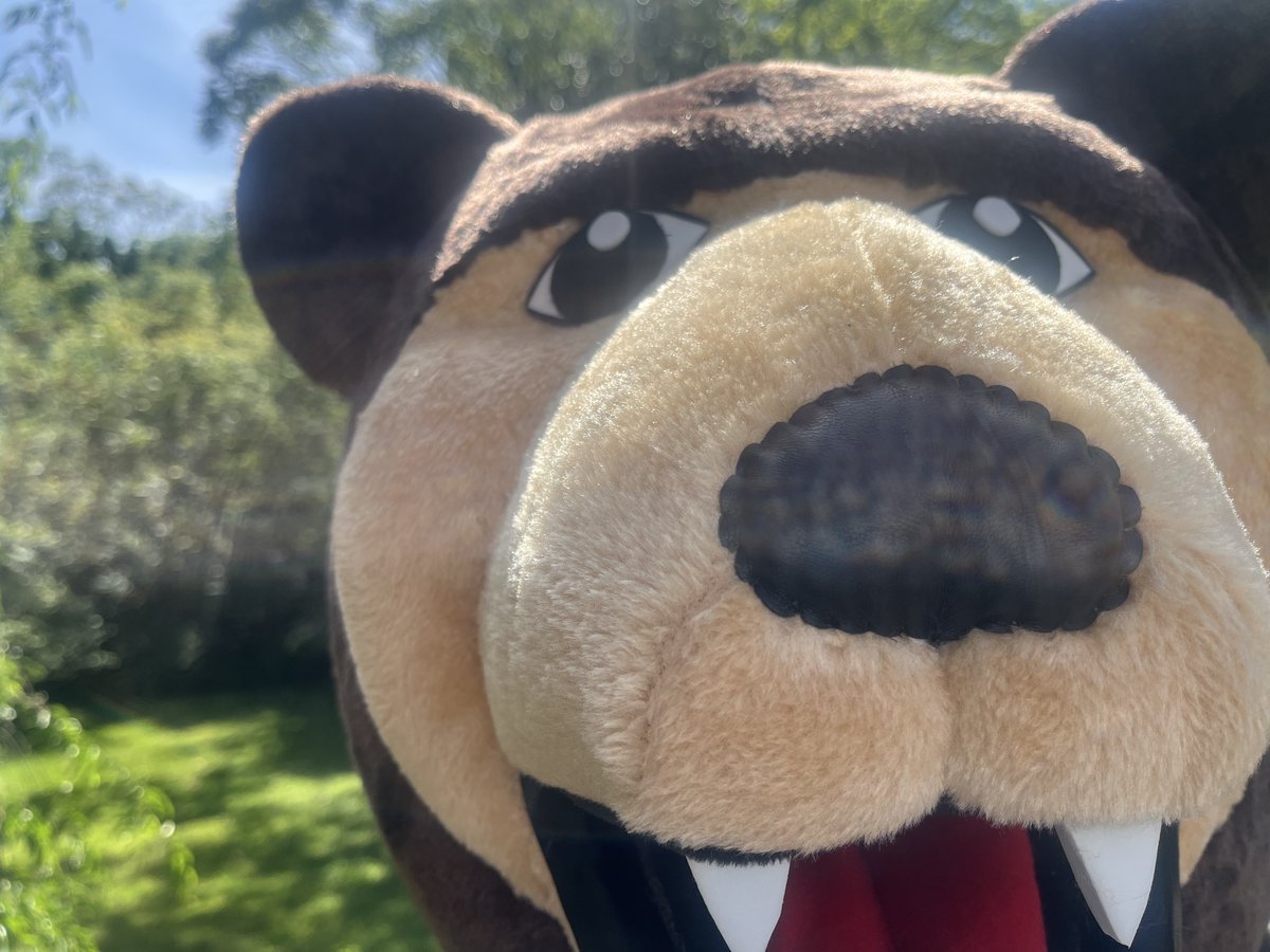 Marion Hungry Mothers (@hungrymothersbb) on Twitter photo CONTEST ANNOUNCEMENT! Hungry Mothers fans, we need your help to name our mama bear mascot. Go to the main news story at hungrymothersbaseball.com, where you can submit your name between now and this Friday at 3 pm! <a href="/MiLBPromos/">Minor League Promos</a> <a href="/milbfanclub/">Minor League Fan Club</a> <a href="/UniWatch/">Uni Watch</a> <a href="/Count2Baseball/">Baseball By Design</a> CONTEST ANNOUNCEMENT! Hungry Mothers fans, we need your help to name our mama bear mascot. Go to the main news story at hungrymothersbaseball.com, where you can submit your name between now and this Friday at 3 pm! <a href="/MiLBPromos/">Minor League Promos</a> <a href="/milbfanclub/">Minor League Fan Club</a> <a href="/UniWatch/">Uni Watch</a> <a href="/Count2Baseball/">Baseball By Design</a>