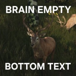 🏴Mountain Doe🏴 (@mtndoe) on Twitter photo 