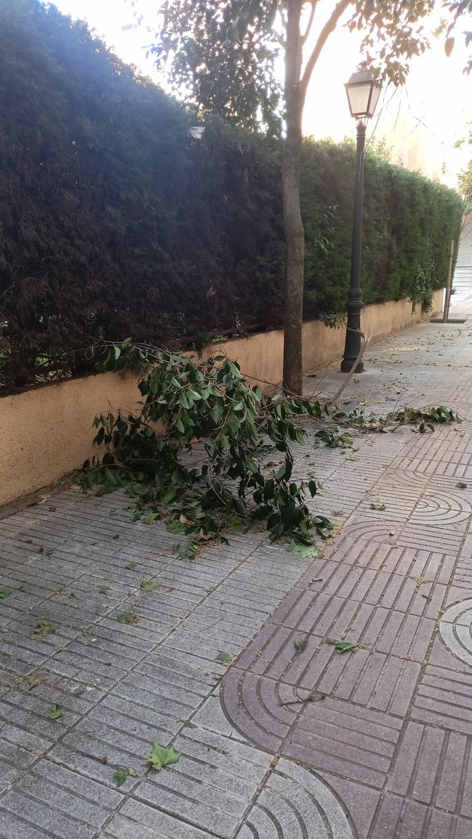 Elsa Muñoz tweet media