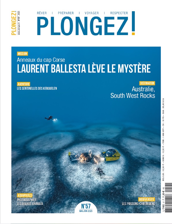 Le #57 de Plongez ! est disponible en kiosque aujourd'hui et sur notre site : plongez.fr/magazine-plong…