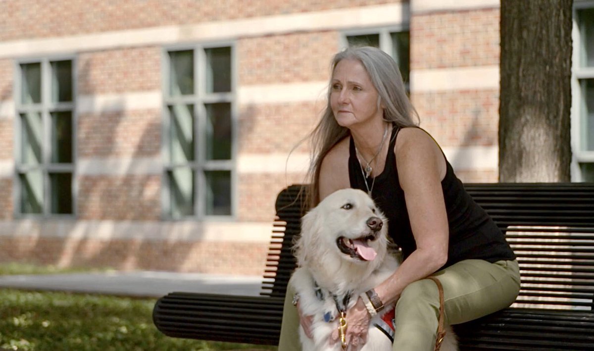 Sampson the Service Dog tweet media