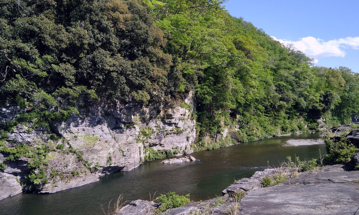 mdrigrs's tweet image. 羊山公園⇒長瀞⇒武甲酒造⇒秩父神社の順で散策
晴天に恵まれ良い一日でした (4/29)

① 羊山公園 芝桜の丘
② 長瀞岩畳
③ 長瀞ライン下り
④ 秩父神社 つなぎの龍

#秩父 #長瀞