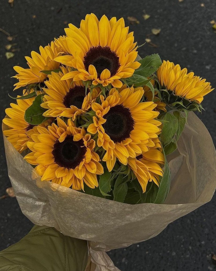 sunflowerchives's tweet photo. Only you, always. https://t.co/DAQC1a5Xq8