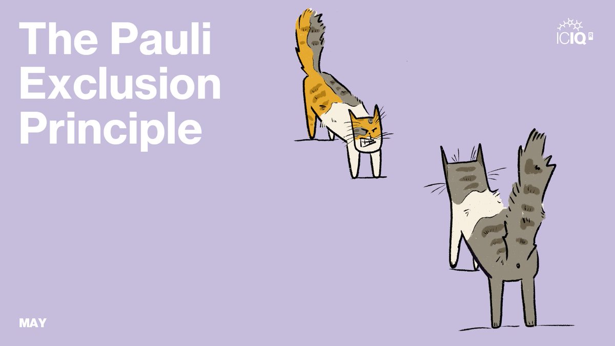 ICIQ (@iciqchem) on Twitter photo #ICIQCalendar May
🐈⬛The Pauli Exclusion Principle (1925)
🔒Two or more identical particles cannot simultaneously occupy the same quantum state. In an atom, two electrons cannot be at the same time in the same state or configuration.
#IYQ2025 <a href="/QuantumYear2025/">International Year of Quantum 2025</a>
<a href="/iCERCA/">Centres CERCA</a> <a href="/_BIST/">BIST-Barcelona Institute of Science and Technology</a> #ICIQCalendar May
🐈⬛The Pauli Exclusion Principle (1925)
🔒Two or more identical particles cannot simultaneously occupy the same quantum state. In an atom, two electrons cannot be at the same time in the same state or configuration.
#IYQ2025 <a href="/QuantumYear2025/">International Year of Quantum 2025</a>
<a href="/iCERCA/">Centres CERCA</a> <a href="/_BIST/">BIST-Barcelona Institute of Science and Technology</a>