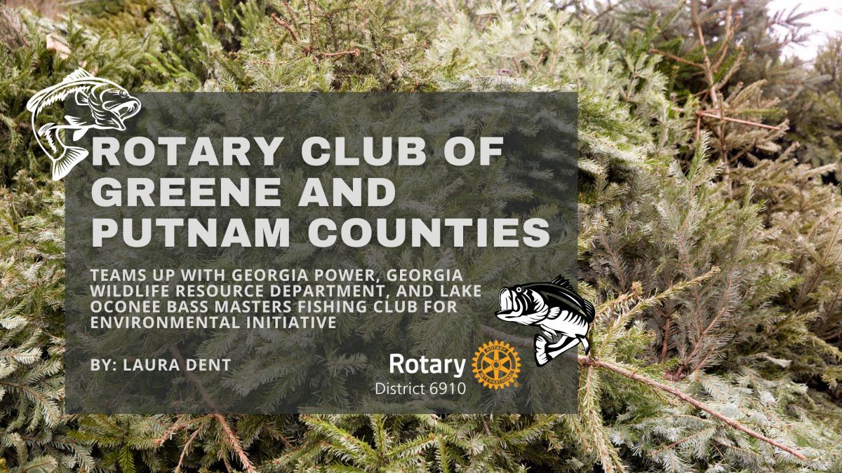What happens when Christmas trees get a second life? The Rotary Club of Greene &amp; Putnam partnered with local agencies to repurpose 100 trees into fish habitats at Lake Oconee—boosting biodiversity, helping anglers, and proving that community + creativity = impact. 🌊💚