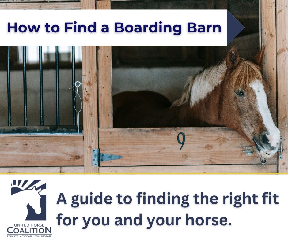 Finding the right boarding barn is one of the most important decisions you'll make for your horse's well-being. 🏡

🔗 Read the guide: unitedhorsecoalition.org/how-to-find-th…

#HereForHorses  #HereForHorseOwners #ResponsibleHorseOwnership #UnitedHorseCoalition