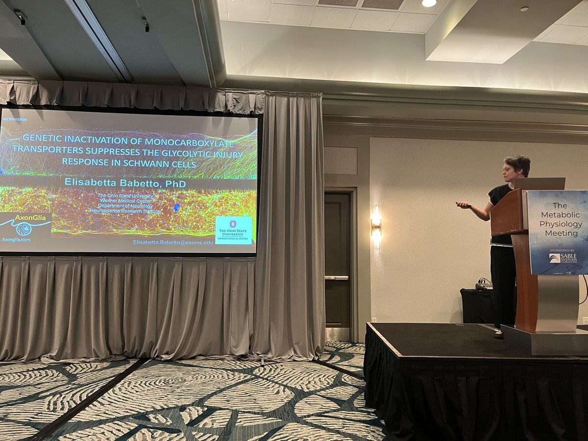 Next short talk of the morning at METPHYS2025 is from Elisabetta Babeto who is enlightening us about the energetic demands of neurons