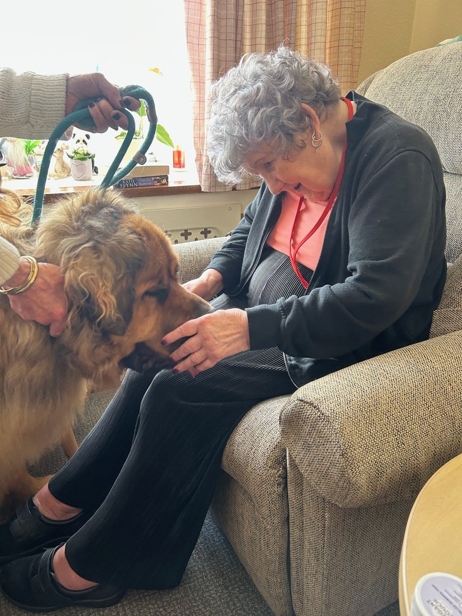 thermbi's tweet image. In celebration of #NationalPetMonth, residents at Queen Elizabeth Court, in #Llandudno were delighted to be reunited with Chewie, the giant furry Leonberger. πΆ
π To read more, visit: bit.ly/4iGvSFg
#Animaltherapy