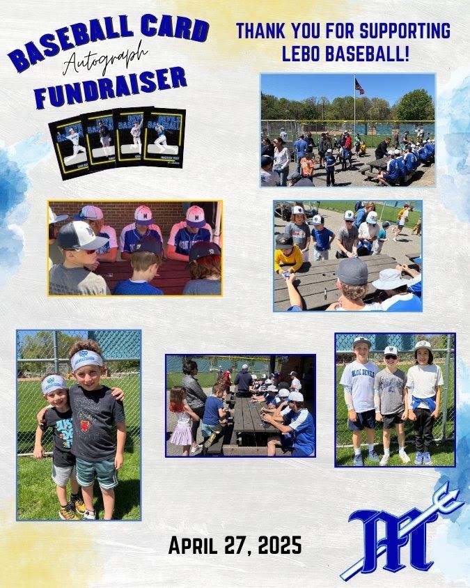 Mt Lebanon Baseball Association (@lebobaseball) on Twitter photo 