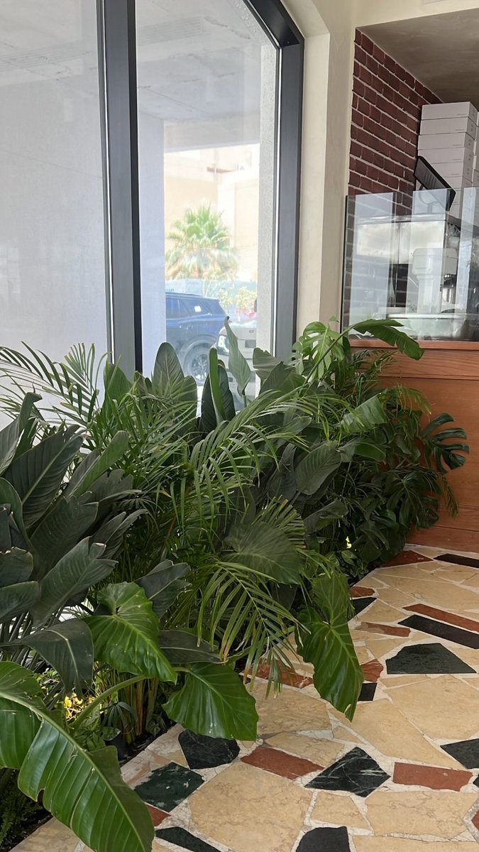 bydalia0's tweet photo. Secret pot bakery 🥐☕️

#الرياض
#قهوه #قهوة  
#riyadh https://t.co/Tw5AvNZMVz