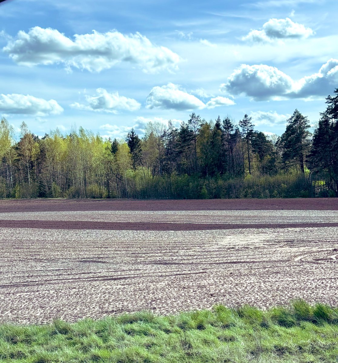 daiga_jz's tweet image. Mums Viņa IR visskaistākā🥰
#pavasaris
#krāsas
#🇱🇻