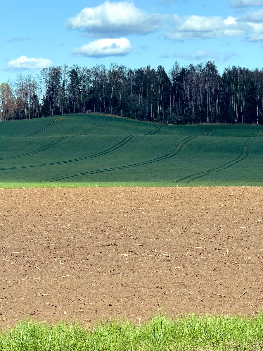 daiga_jz's tweet image. Mums Viņa IR visskaistākā🥰
#pavasaris
#krāsas
#🇱🇻