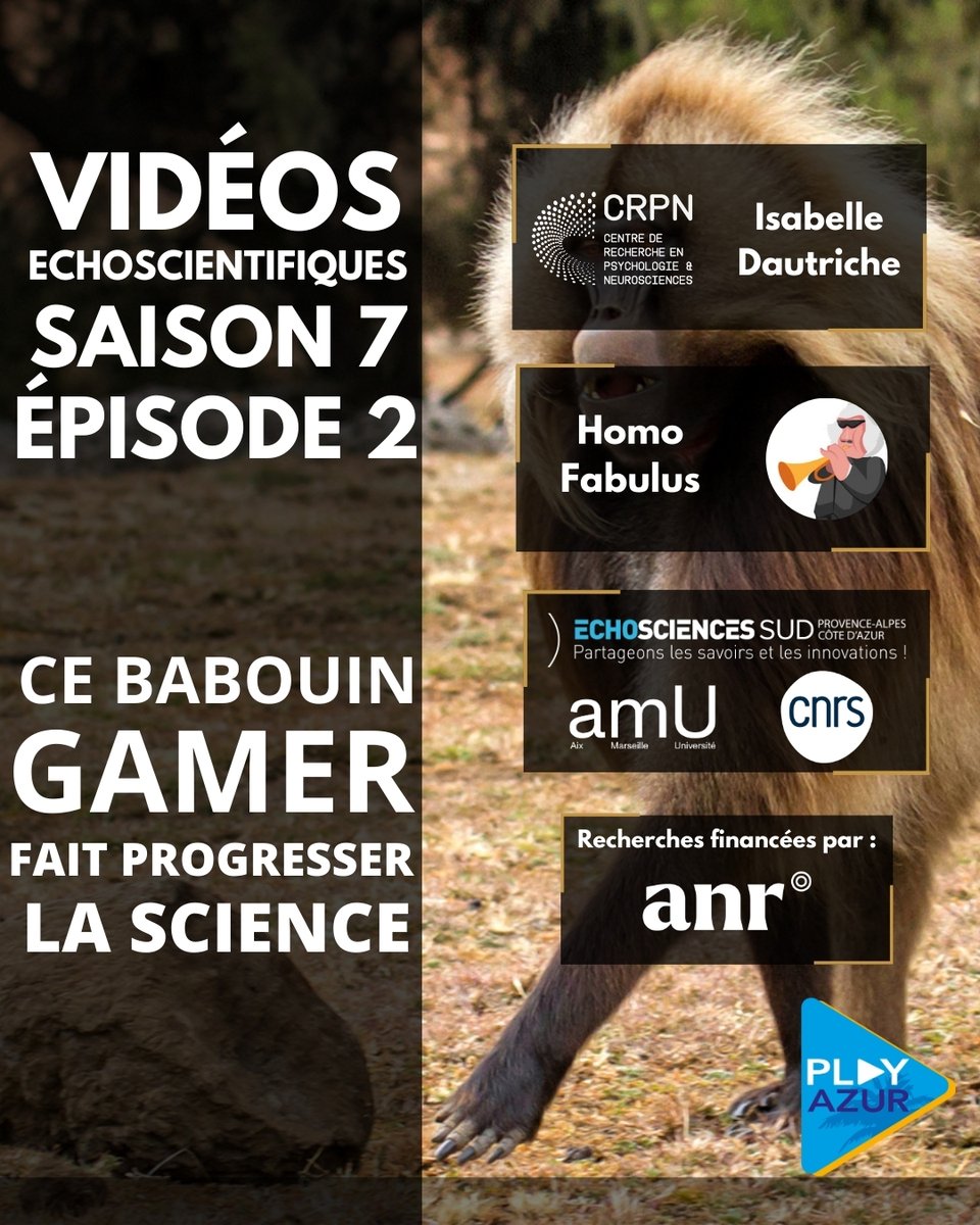 Play Azur Festival (@playazur) on Twitter photo 🔔 #VideoEchoscientifique S7E02
🧠Comprendre le langage à l’aide d’un babouin gamer c’est possible 🎮🐒
2 vidéos avec <a href="/HomoFabulus/">Homo Fabulus</a> et Isabelle Dautriche (AMU - <a href="/CNRS/">CNRS 🌍</a>)
➡️urlr.me/J3WxS6
@gulliversciences I @maregionsud I <a href="/sup_recherche/">Ministère Enseignement supérieur et Recherche</a> I @reseau_amcsti I <a href="/AgenceRecherche/">ANR - Agence nationale de la recherche</a> 🔔 #VideoEchoscientifique S7E02
🧠Comprendre le langage à l’aide d’un babouin gamer c’est possible 🎮🐒
2 vidéos avec <a href="/HomoFabulus/">Homo Fabulus</a> et Isabelle Dautriche (AMU - <a href="/CNRS/">CNRS 🌍</a>)
➡️urlr.me/J3WxS6
@gulliversciences I @maregionsud I <a href="/sup_recherche/">Ministère Enseignement supérieur et Recherche</a> I @reseau_amcsti I <a href="/AgenceRecherche/">ANR - Agence nationale de la recherche</a>