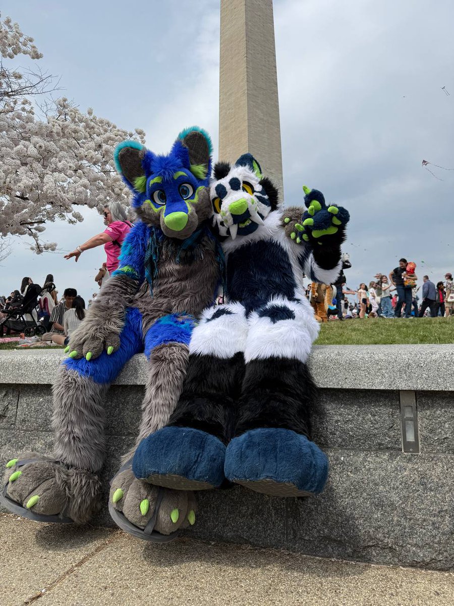 Folf n cat sit on a ledge

📸<a href="/JamsTheCat/">Jams</a> 
🐈<a href="/HolocronTheta/">holocron theta</a>