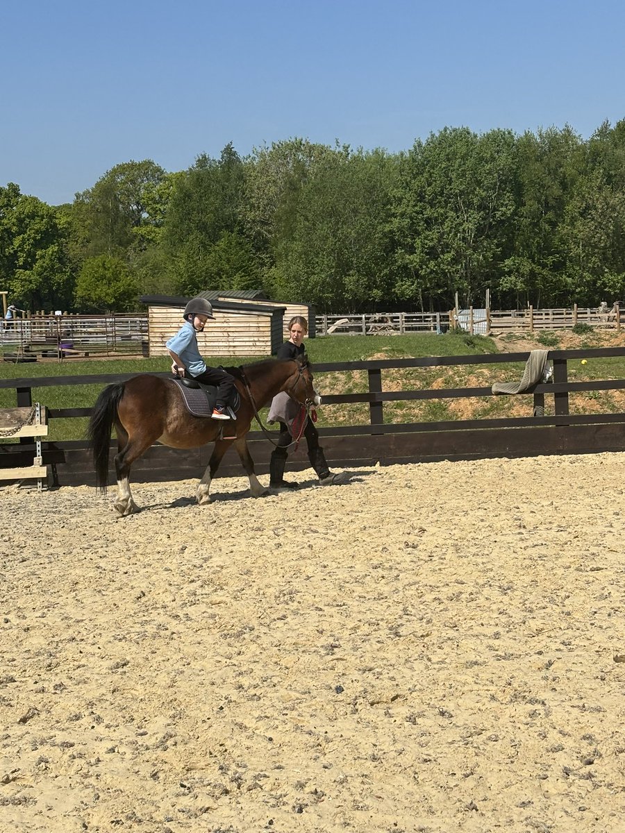 _SuttonHouse_'s tweet photo. Primary and reach horse riding today was a great trip and we can not wait to do it all again next week ⭐️🐎😁 #suttonhouse #Horses #amazingtrip https://t.co/AOFlfq1Kfx